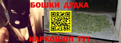 индика Заводоуковск