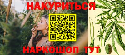 индика Заводоуковск