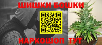индика Заводоуковск