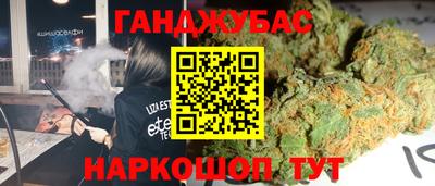 индика Заводоуковск