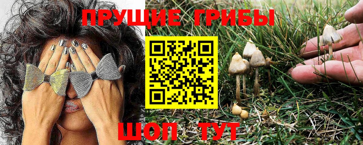Галлюциногенные грибы MAGIC MUSHROOMS Иркутск
