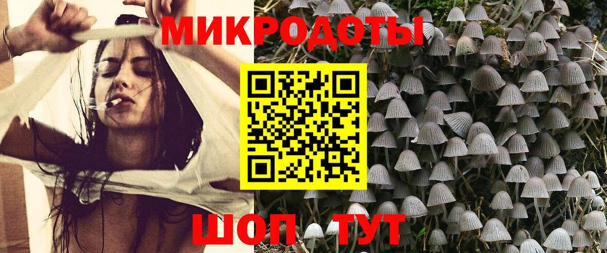 купить закладку  Вход с VPN  Иркутск  Галлюциногенные грибы мицелий 